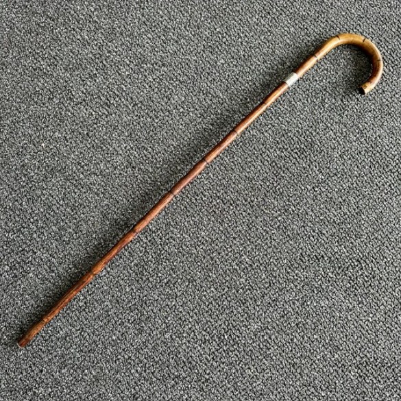 Walking Stick Birm  1